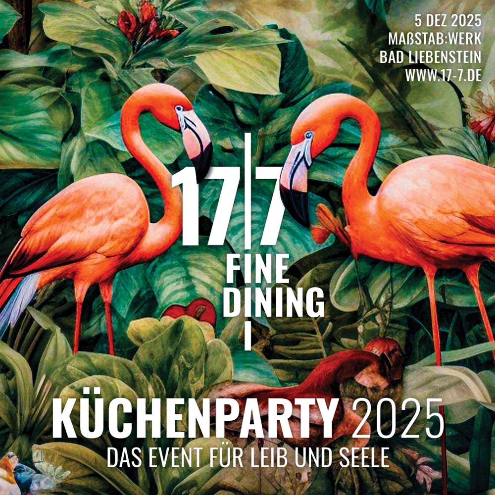 17-7 Kuechenparty Teil 1